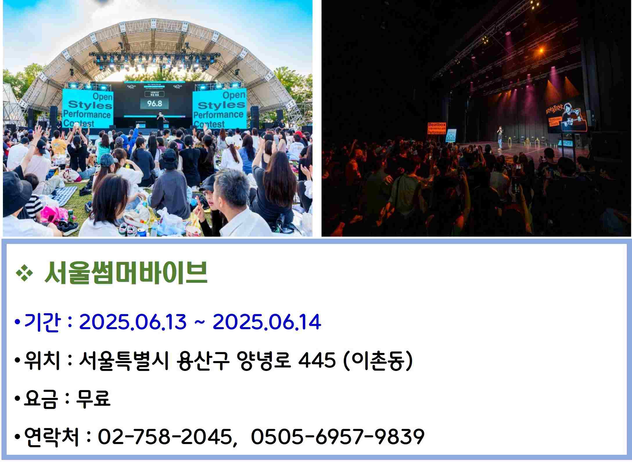 서울썸머바이브