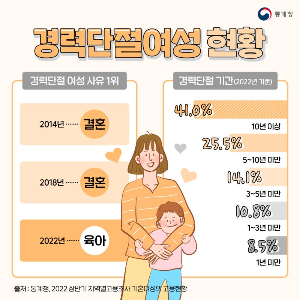 경력단절 여성 현황