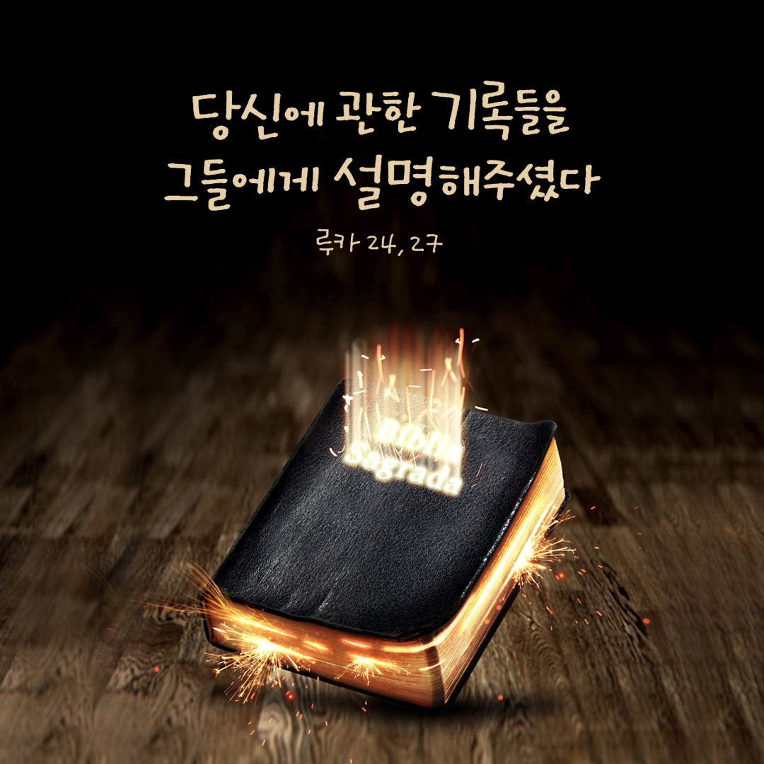 성경 전체에 걸쳐 당신에 관한 기록들을 그들에게 설명해 주셨다. (루카 24,27)