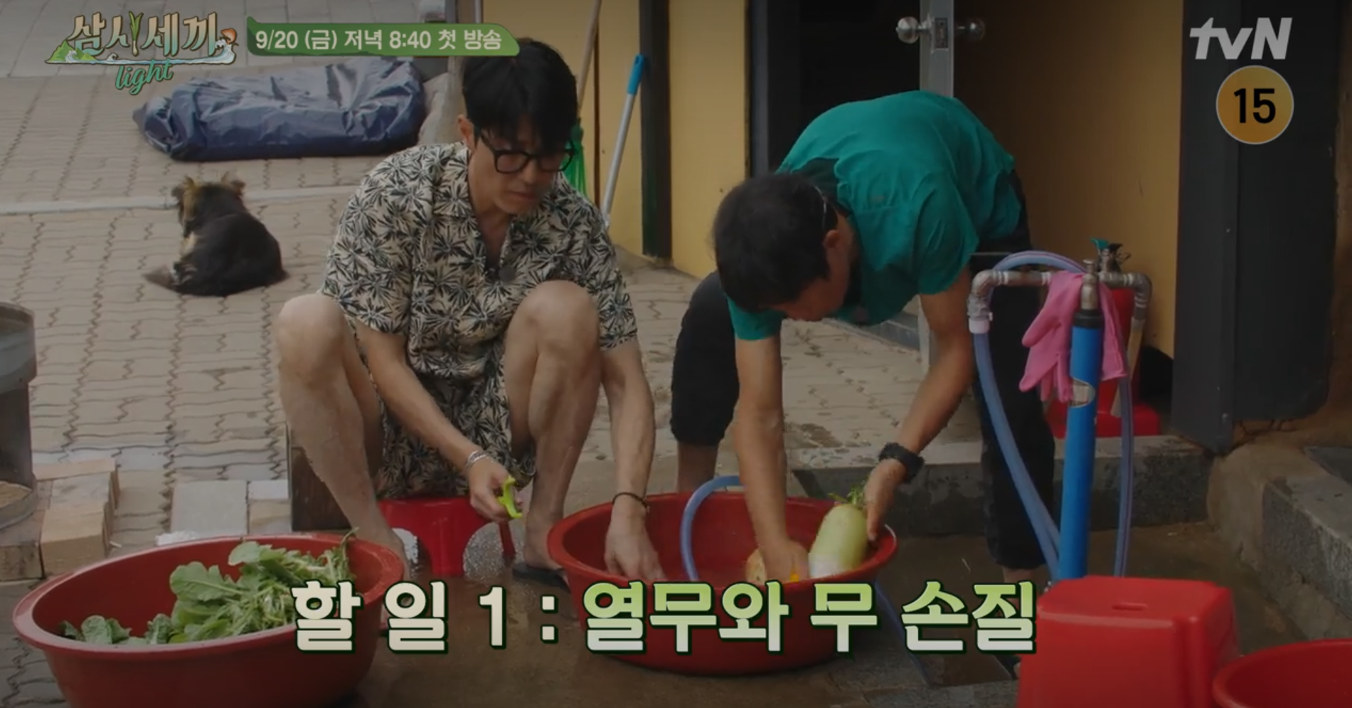 삼시세끼 라이트
