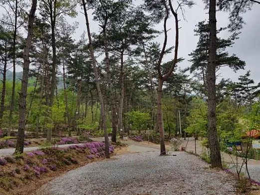 두레관광농원아리솔캠핑장