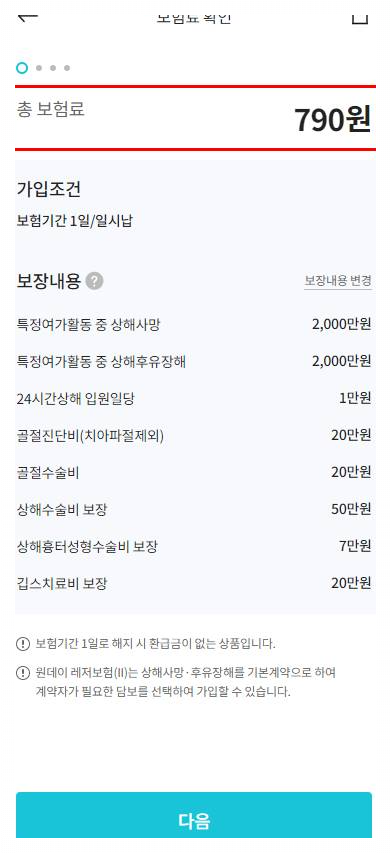 레저 스포츠 등산 낚시 자전거 축구 야구 배드민턴 테니스 탁구 서핑 스키 스노보드 원데이 보험