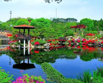 베어트리파크 철쭉축제 봄과 철쭉_11