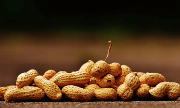 땅콩-효능-피로회복