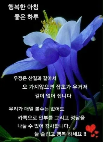 장마철 인사말 모음 예시 멘트_2