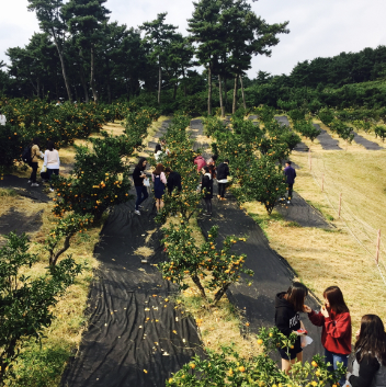 제주 여행 2박3일 추천코스(자유여행)