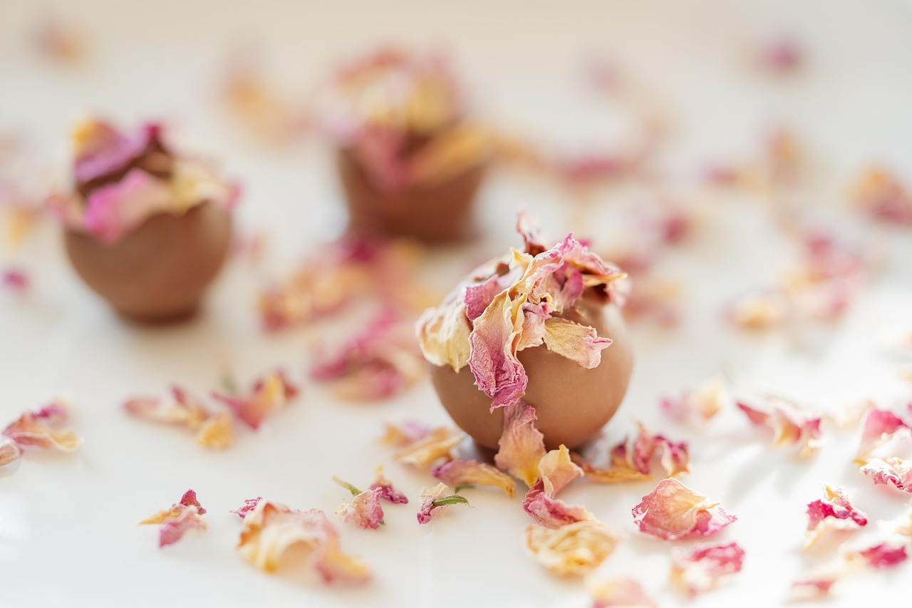 🍪 사무실 간식 추천! 탕비실 필수템 빈츠 말차·초코파이까지, 도매로 똑똑하게 채우는 법