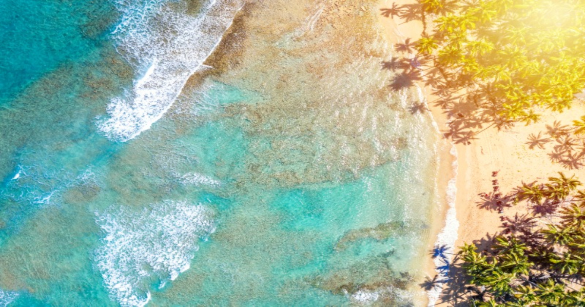 ํญ๊ณต๊ถ ์ธ๊ฒ ์ฌ๋ ๋ฐฉ๋ฒ 5๊ฐ์ง