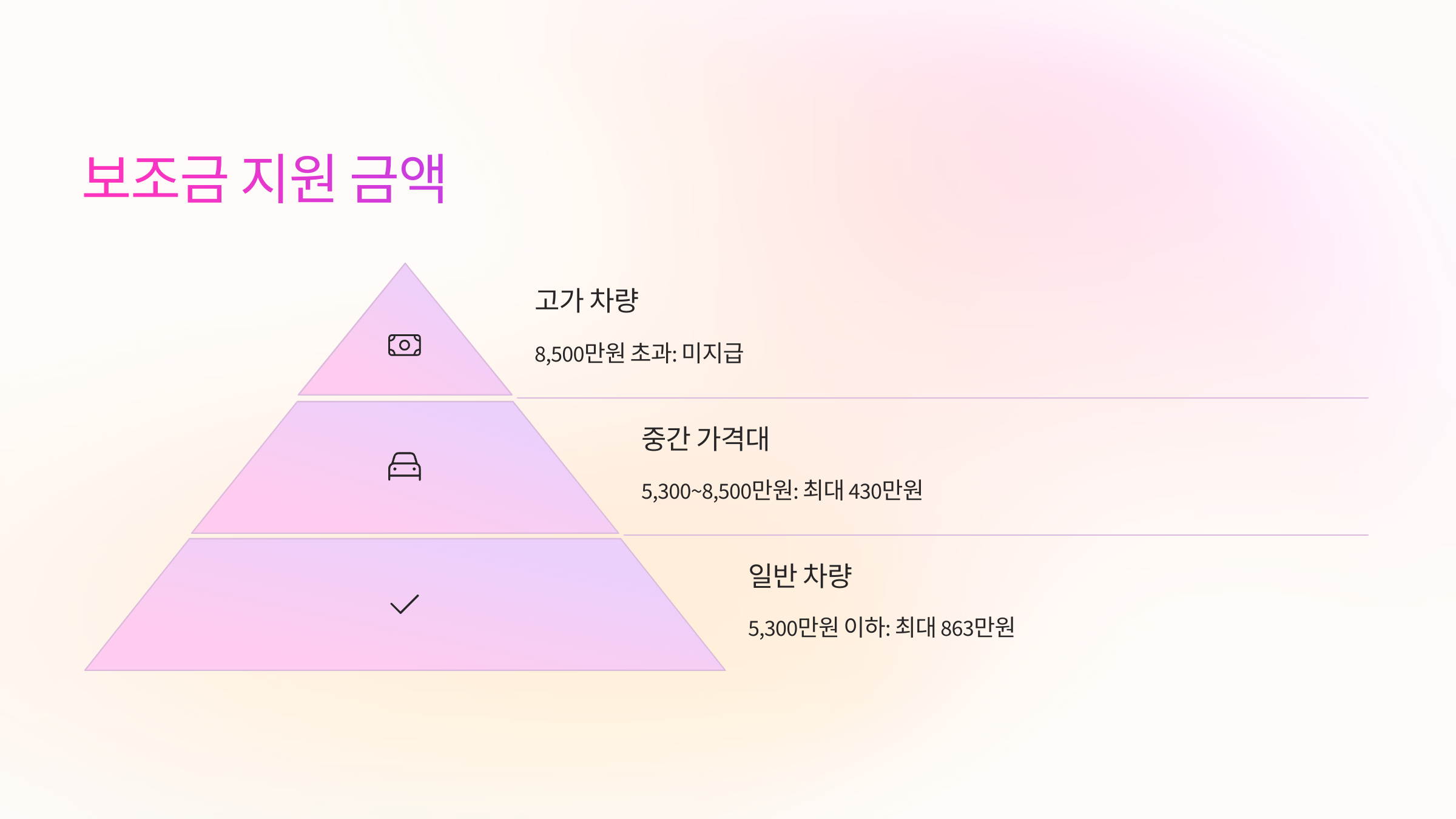 💸 보조금 지원 금액