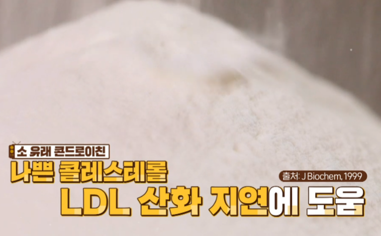 콘드로이친