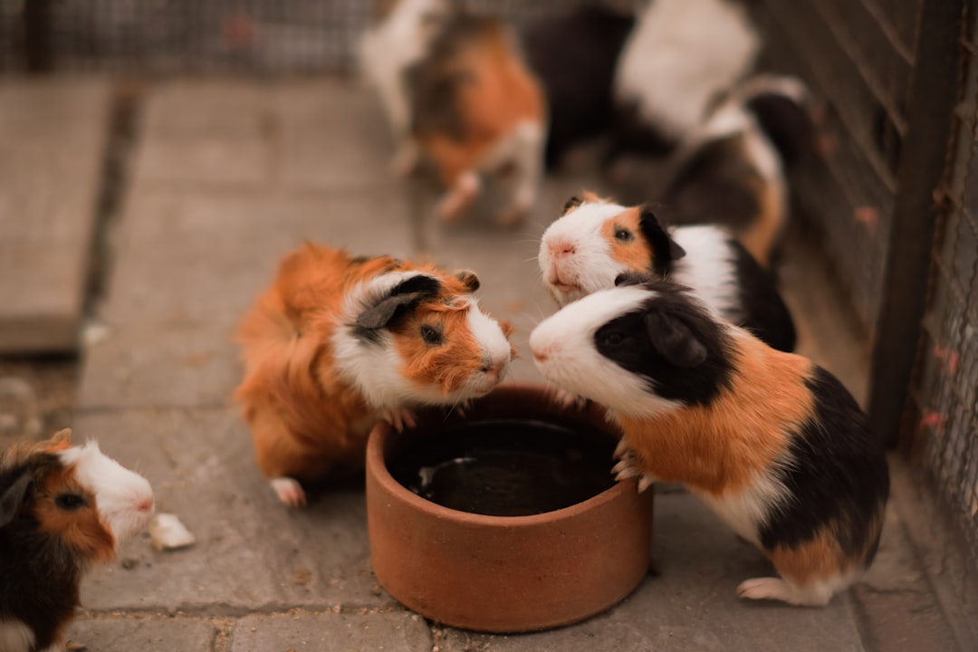 Negotiation.