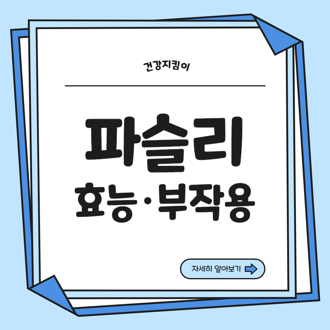 파슬리의 효능 부작용 먹는법 고르는법