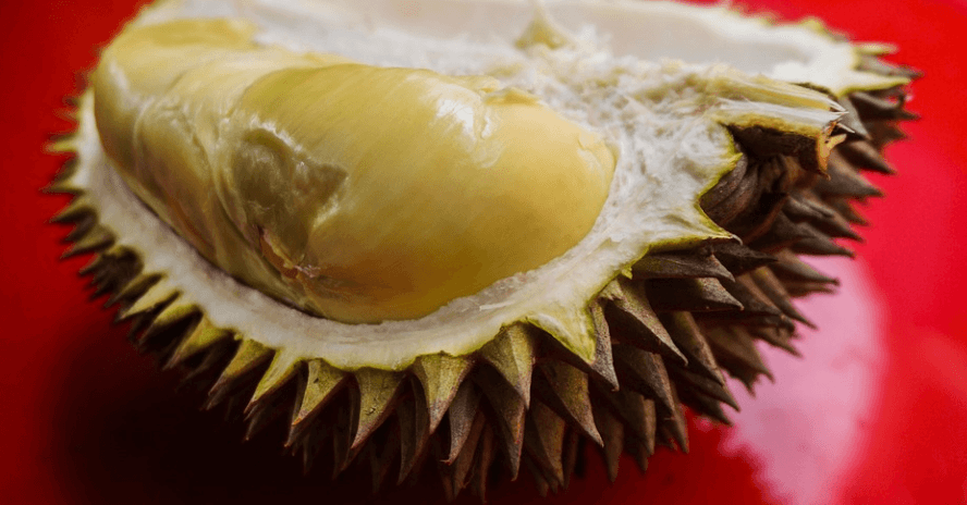 과일 두리안 사진 - 14