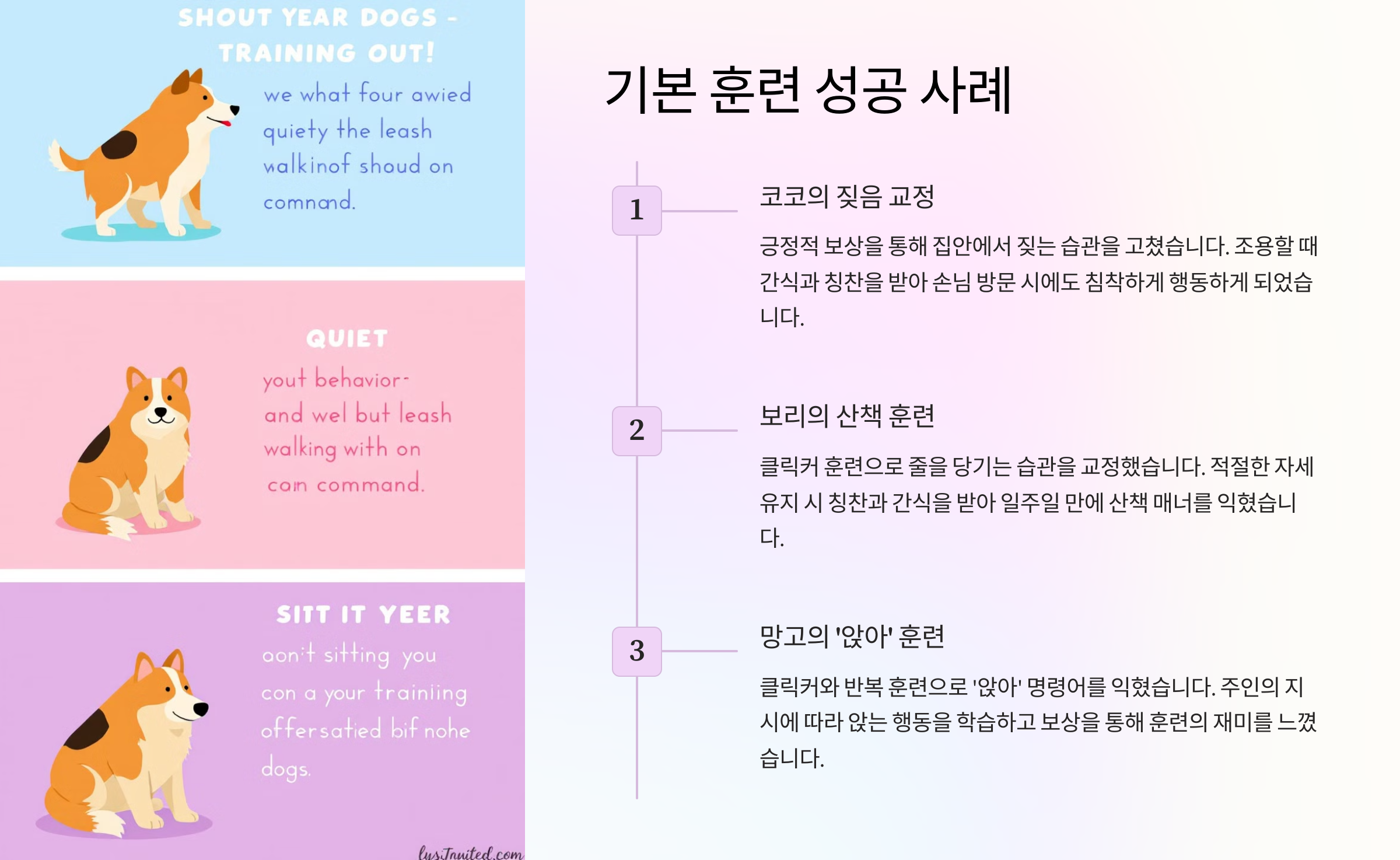 기본 훈련 성공 사례