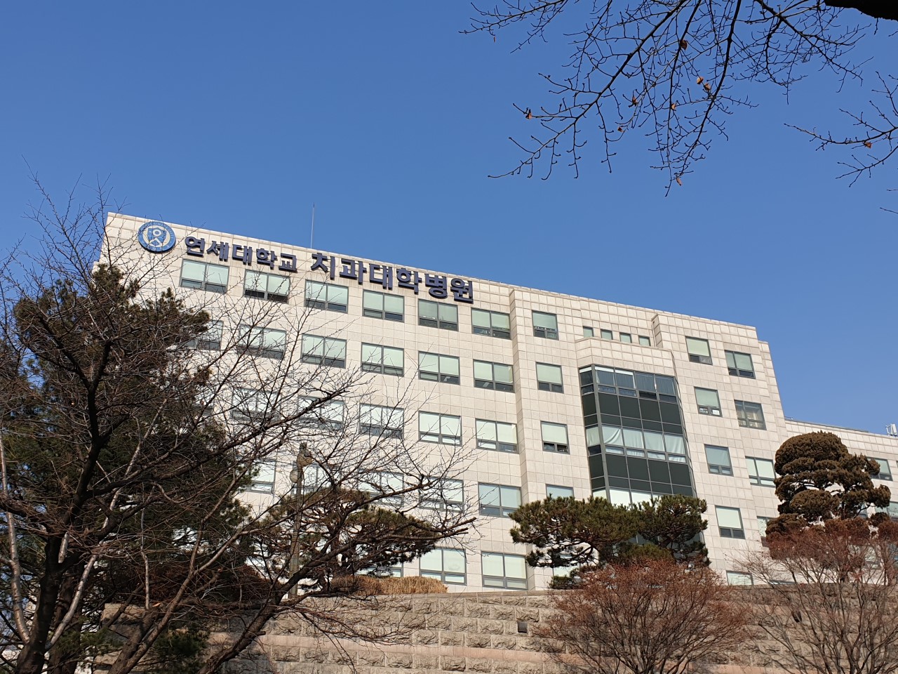 연세대학교치과대학병원 외관