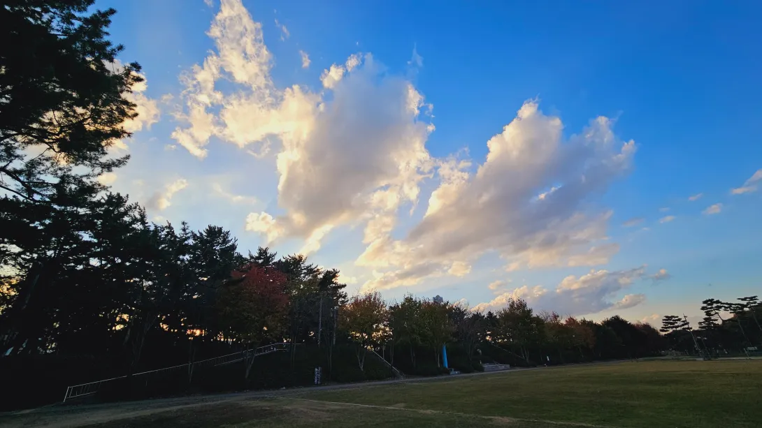 밀양 맥문동 맨발걷기