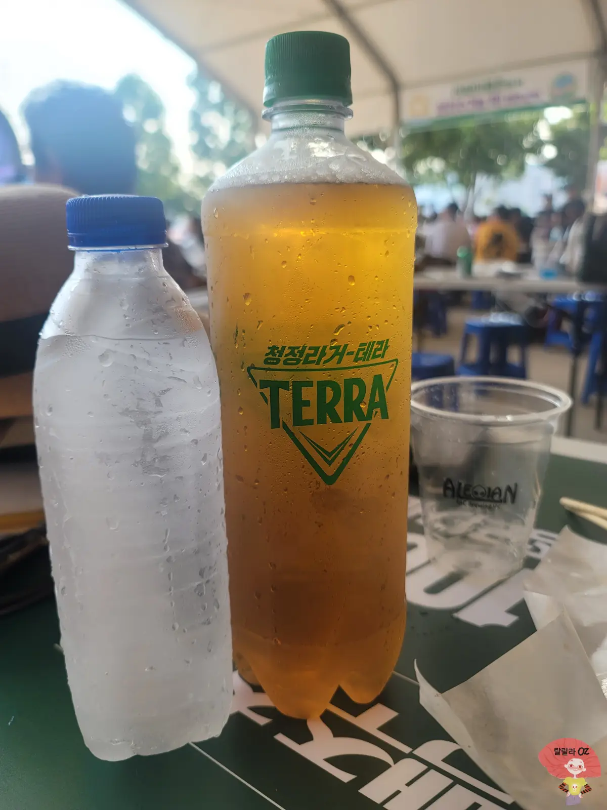 강원도-홍천-맥주축제-1리터-패트병-테라-맥주와-500ml터-생수-한병