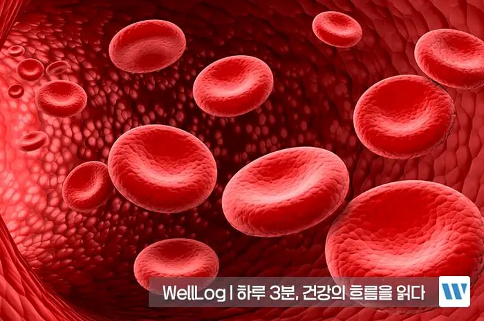 혈중 알부민 수치 낮으면 부족증상, 정상 수치