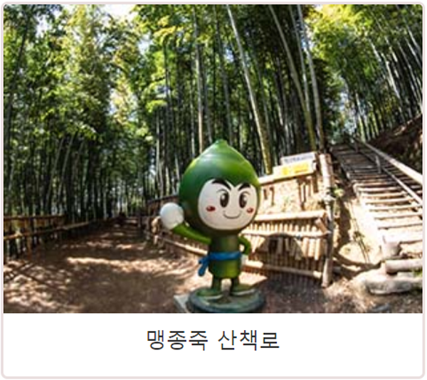 거제 맹종죽테마공원