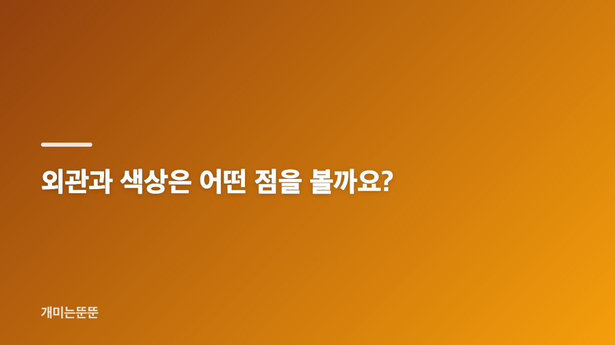 삼성 외장하드 J3 2TB 디자인과 백업 구성