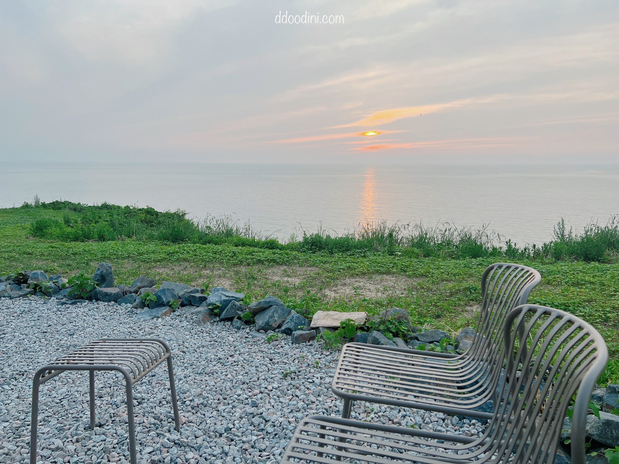 백수해안도로 보리