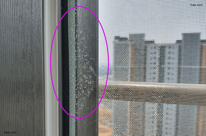 유리창_로봇청소기_청소누락 유리창_로봇청소기_청소누락