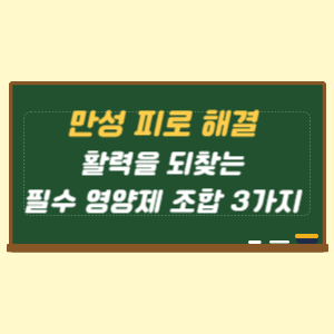 만성 피로 해결과 활력을 되찾는 필수 영양제 조합 3가지