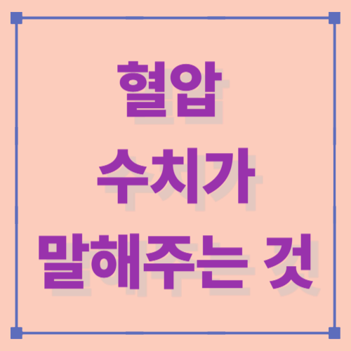 혈압 수치가 말해주는 것 — 단계별 분류와 정상 유지 기준