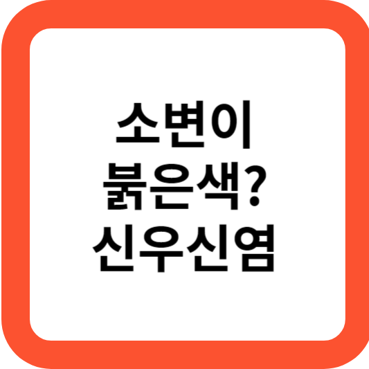 신우신염