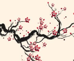 일본-벚꽃-개화시기-7