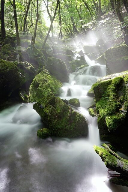 백록샘 사전예약