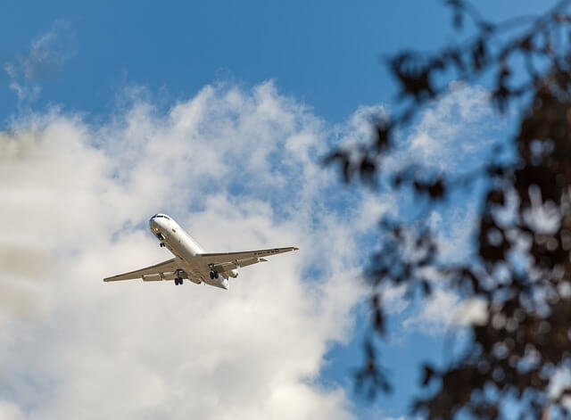 https://travel.write1004.com/2025/02/blog-post.html