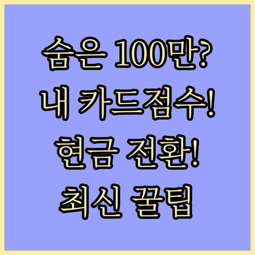 잊고 있던 카드 포인트 현금 마일리지..
