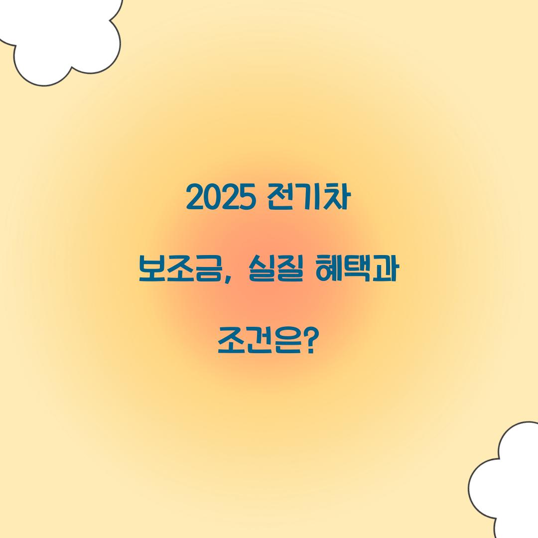 전기차 보조금