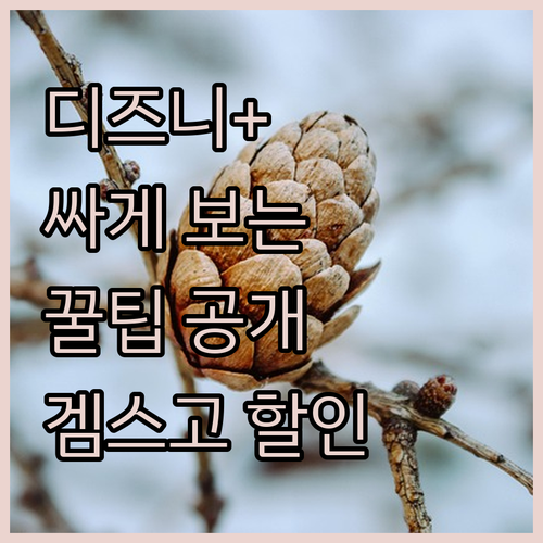 디즈니플러스 싸게 보는 꿀팁! 겜스고