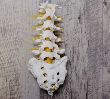 만성요통 원인 초기 증상 예방 운동법