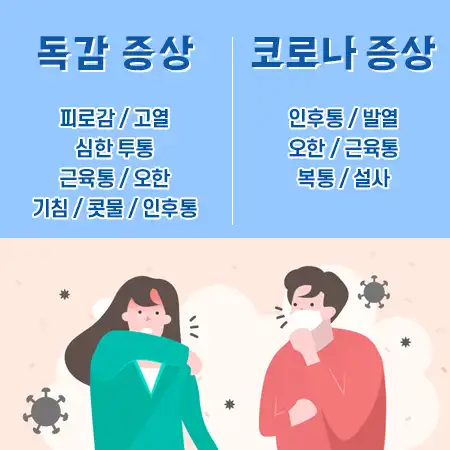 독감 증상