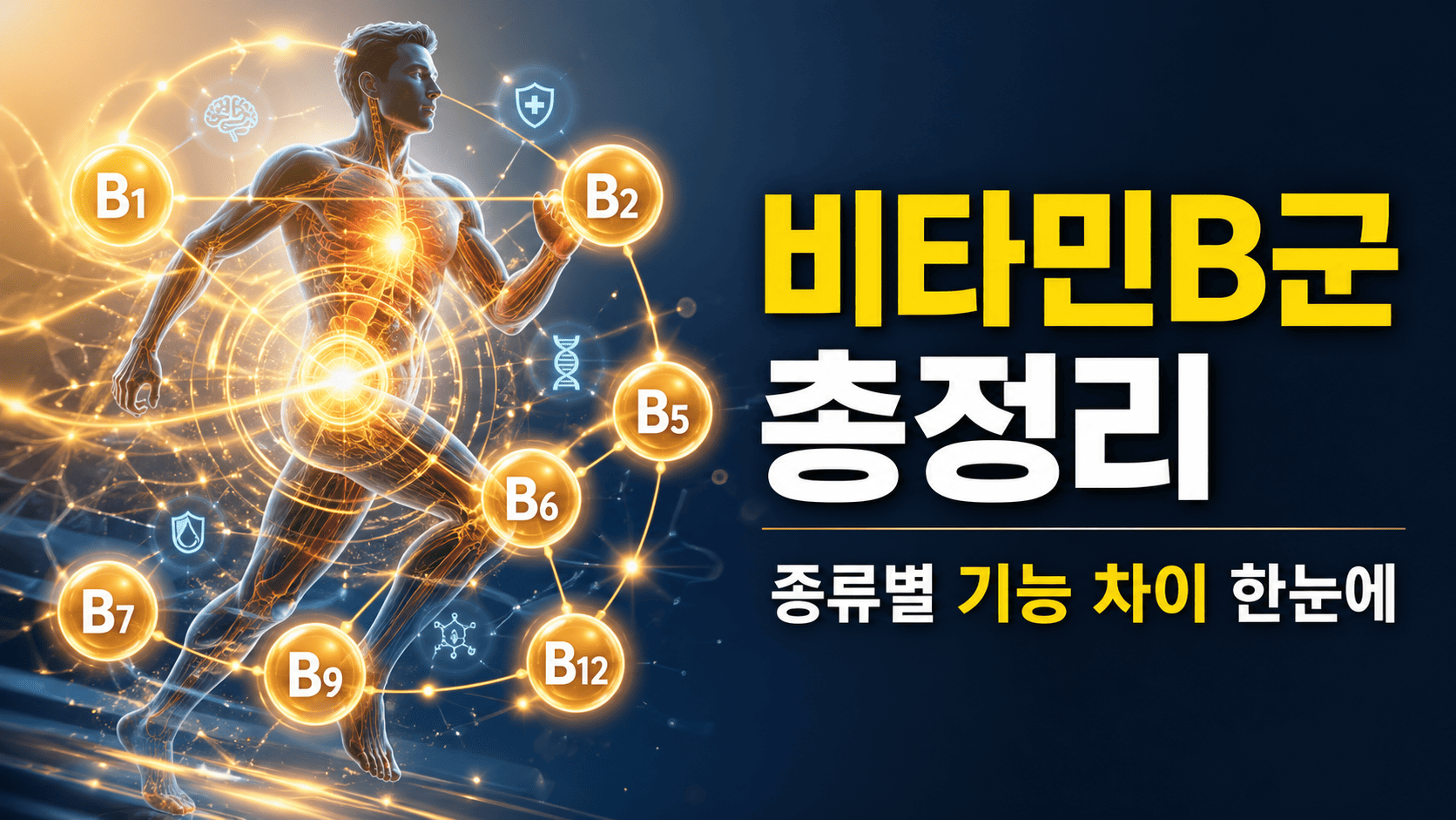 비타민B군 종류별 비교 (B1~B12 기능 차이)