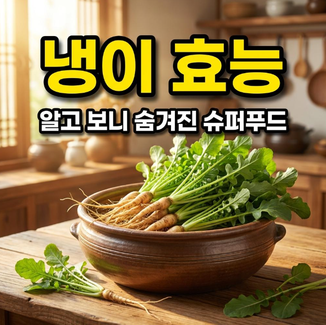 냉이 효능 확인하기