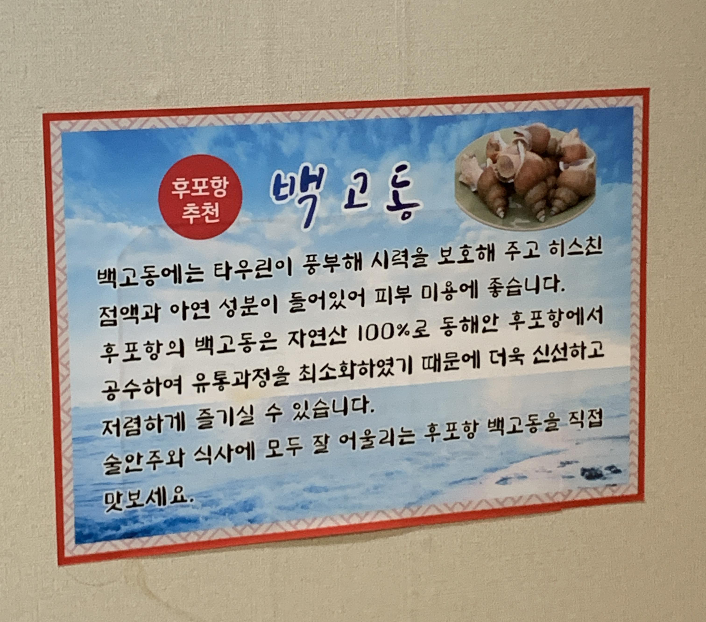 후포항의 백고동