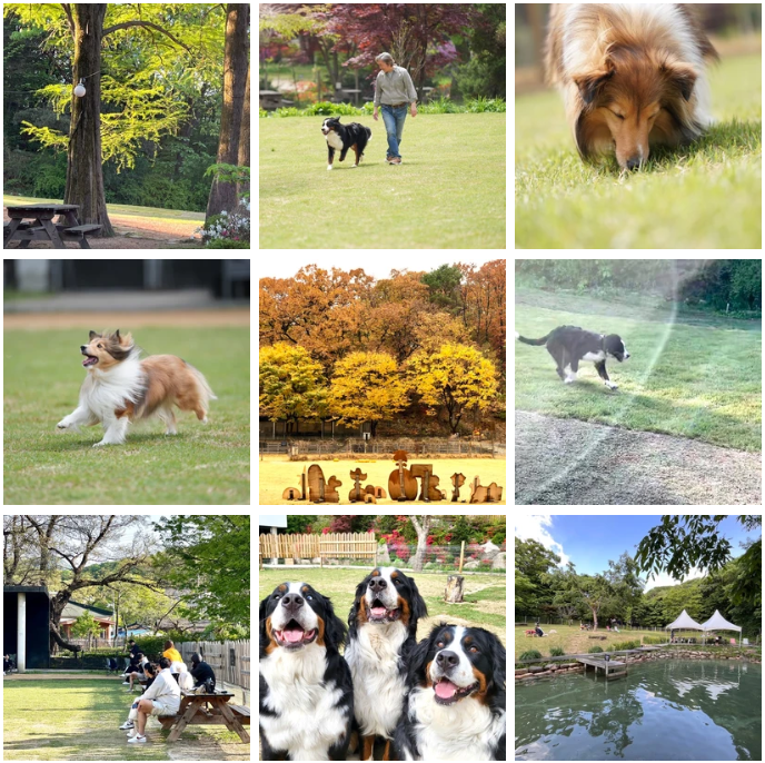 서울근교 계곡 추천: 송추계곡 맛집, 자연을 담은 양주 헤세의 정원