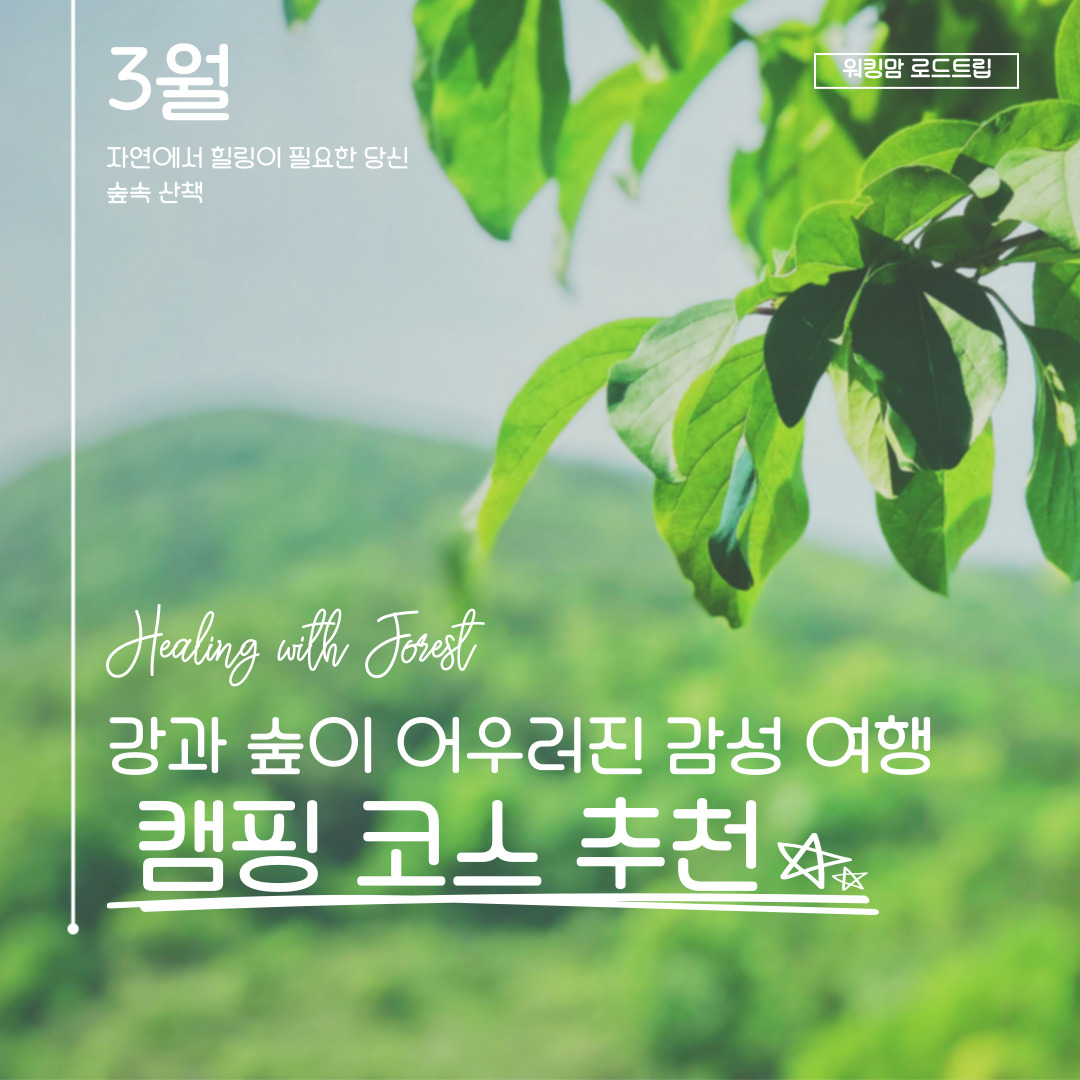 강과 숲이 어우러진 감성 여행 &amp; 캠핑 코스 추천-제작이미지