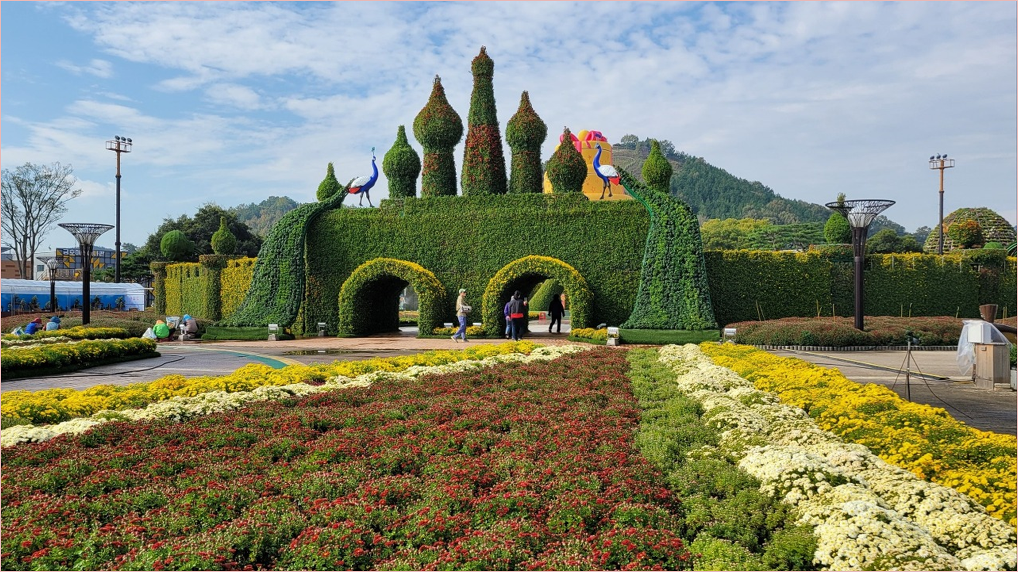 대한민국 국향대전