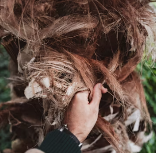 에코프로 배당금 지급일 기준일 입금일 목표주가