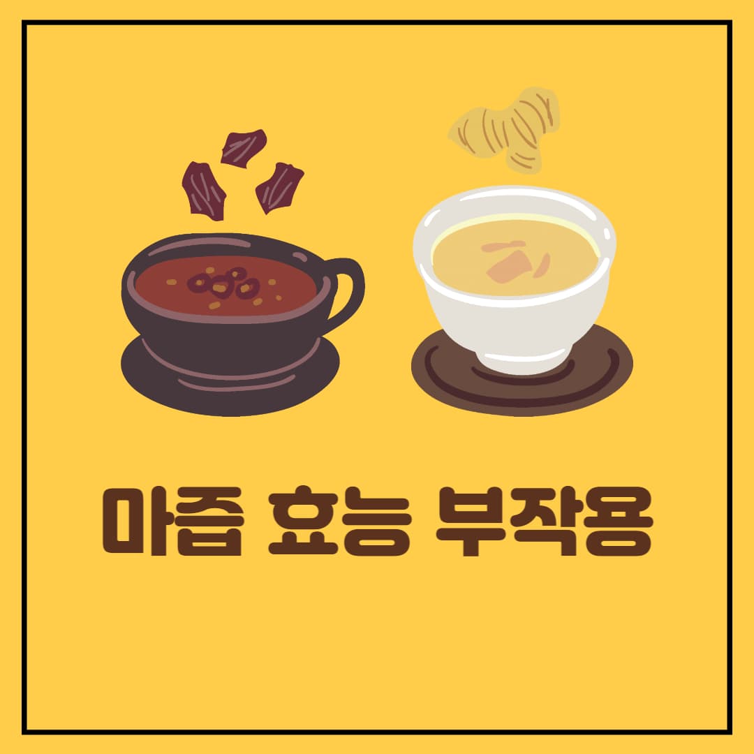 마즙 효능 알아보기