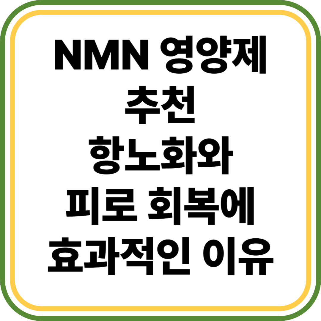 NMN 영양제 추천
