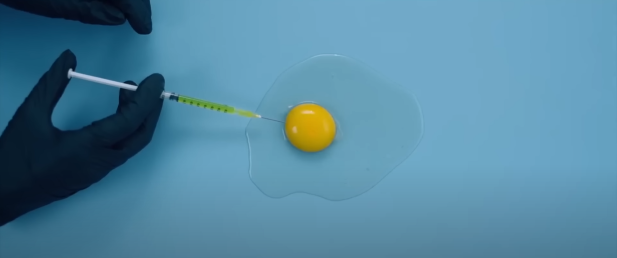 서브 스턴스, 서브스턴스 뜻, 서브스턴스 결말, 서브스턴스 넷플릭스, 서브스턴스 디즈니, 서브스턴스 ott