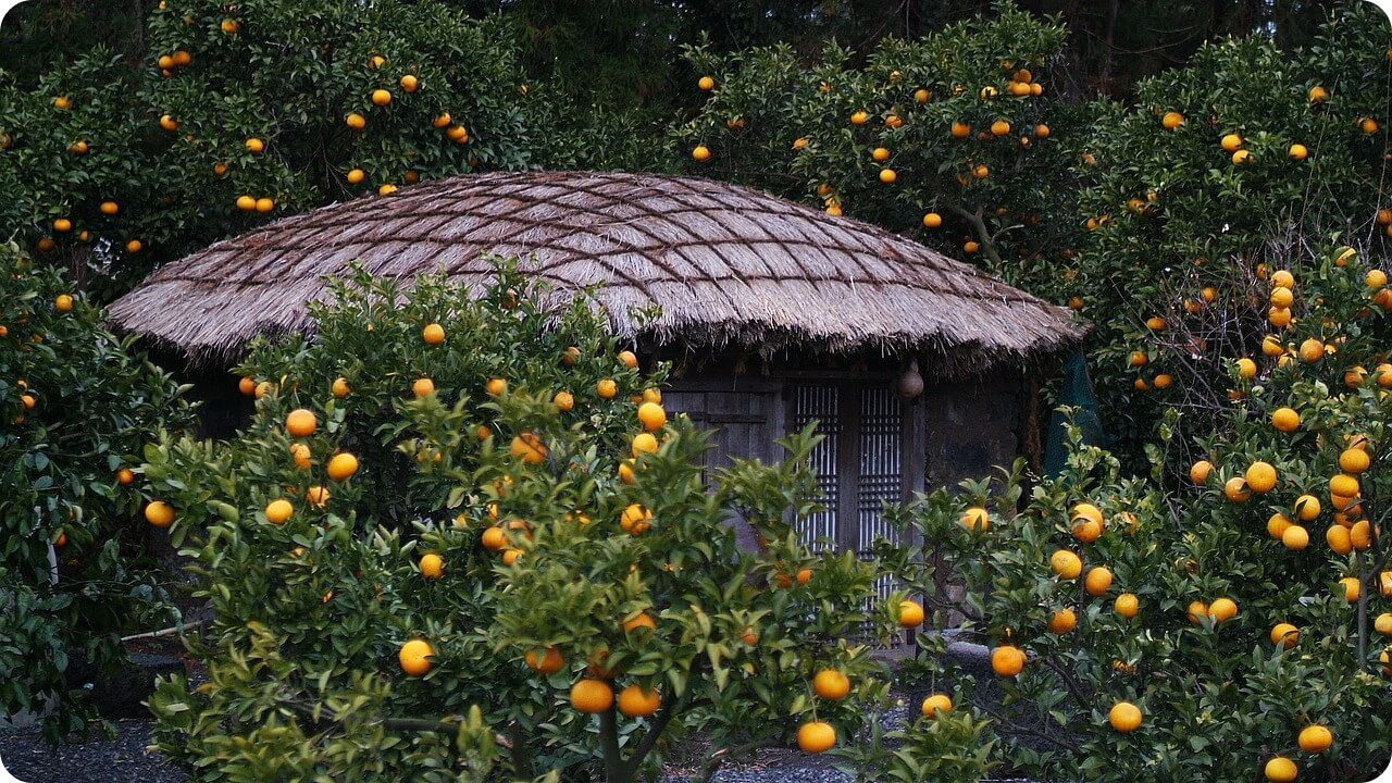 제주도 여행 최저가 비행기, 렌트카, 숙박 추천