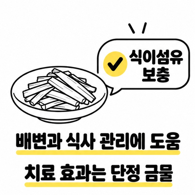 우엉 반찬 접시와 체크 표시로 식이섬유 보충 및 배변과 식사 관리의 도움을 설명하고 치료 효과를 단정하지 않도록 안내하는 이미지
