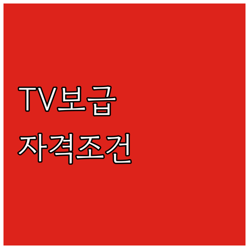 2025 시각·청각 장애인 TV 보급..